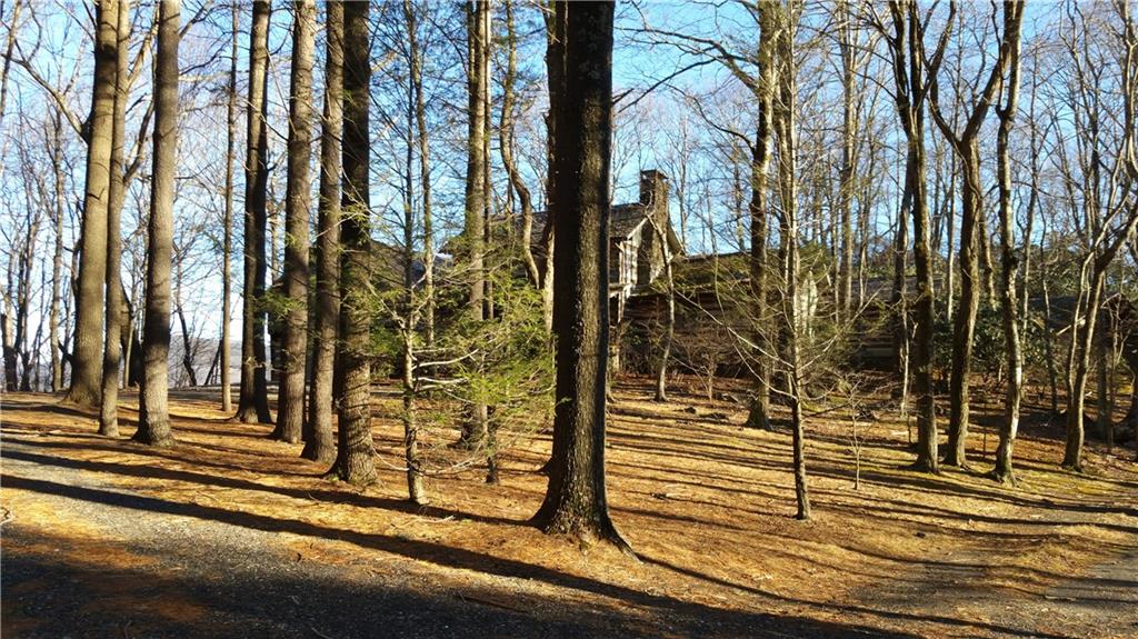 570 Homestead Road, Unit 14 Todd, NC 28684 - Photo 4 of 39 Gallery Image 4