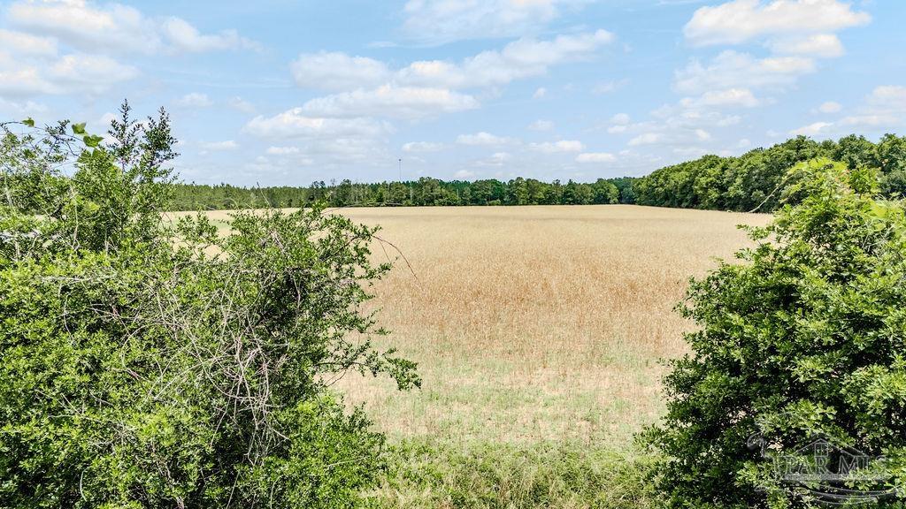 Lot 6 Daybreak Lane Pace, FL 32571 - Photo 12 of 15