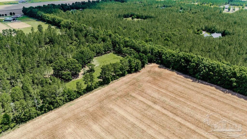 Lot 6 Daybreak Lane Pace, FL 32571 - Photo 3 of 15