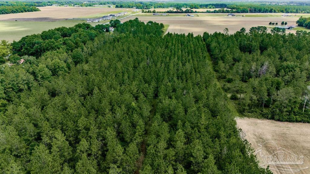 Lot 6 Daybreak Lane Pace, FL 32571 - Photo 8 of 15