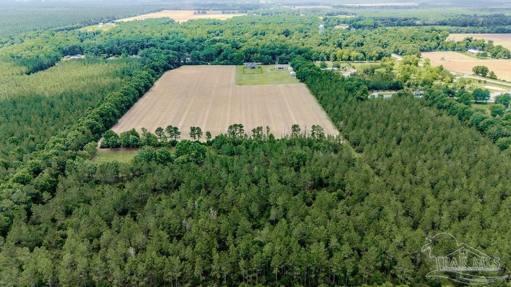 Lot 6 Daybreak Lane Pace, FL 32571 - Photo 9 of 15