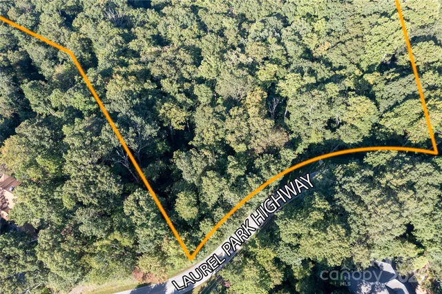 a picture of a tree with a plant in the background