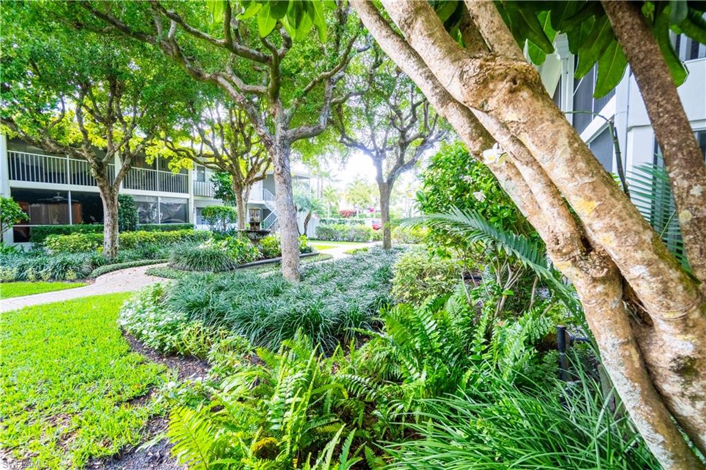 388 4th Avenue South, Unit 388 Naples, FL 34102 - Photo 15 of 15 a view of yard with green space