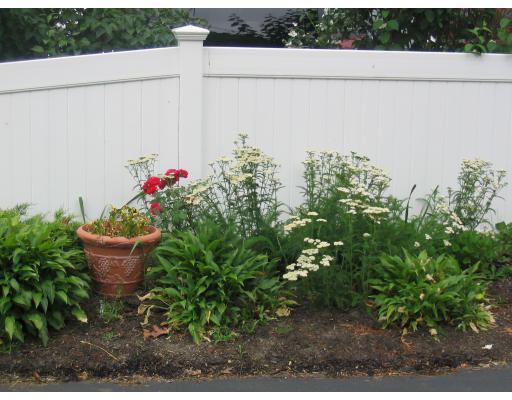 12 Verndale Road Weymouth, MA 02190 - Photo 3 of 12 Gallery Image 3