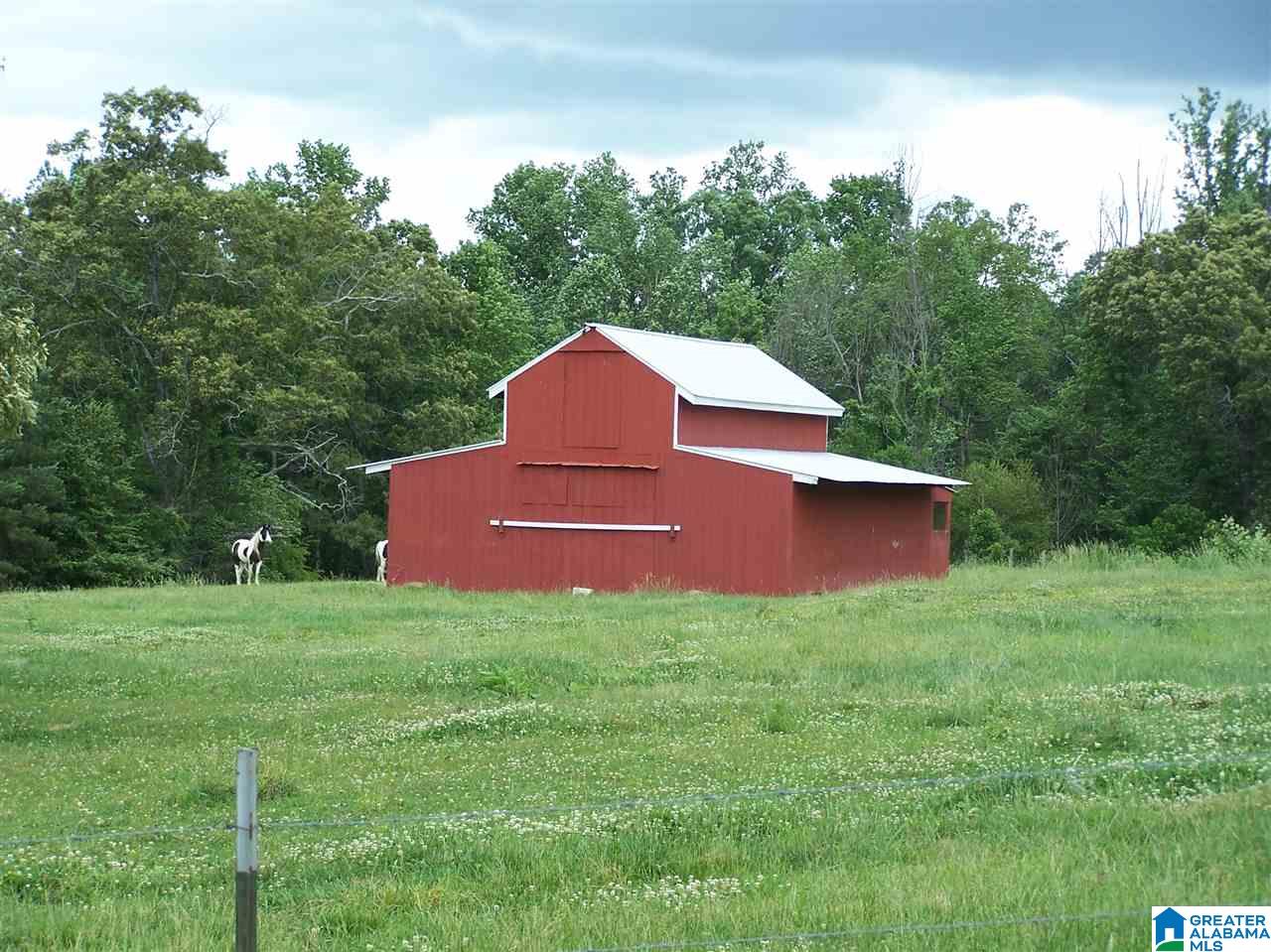 1595 Robin Hill Road Oneonta, AL 35121 - Photo 3 of 48