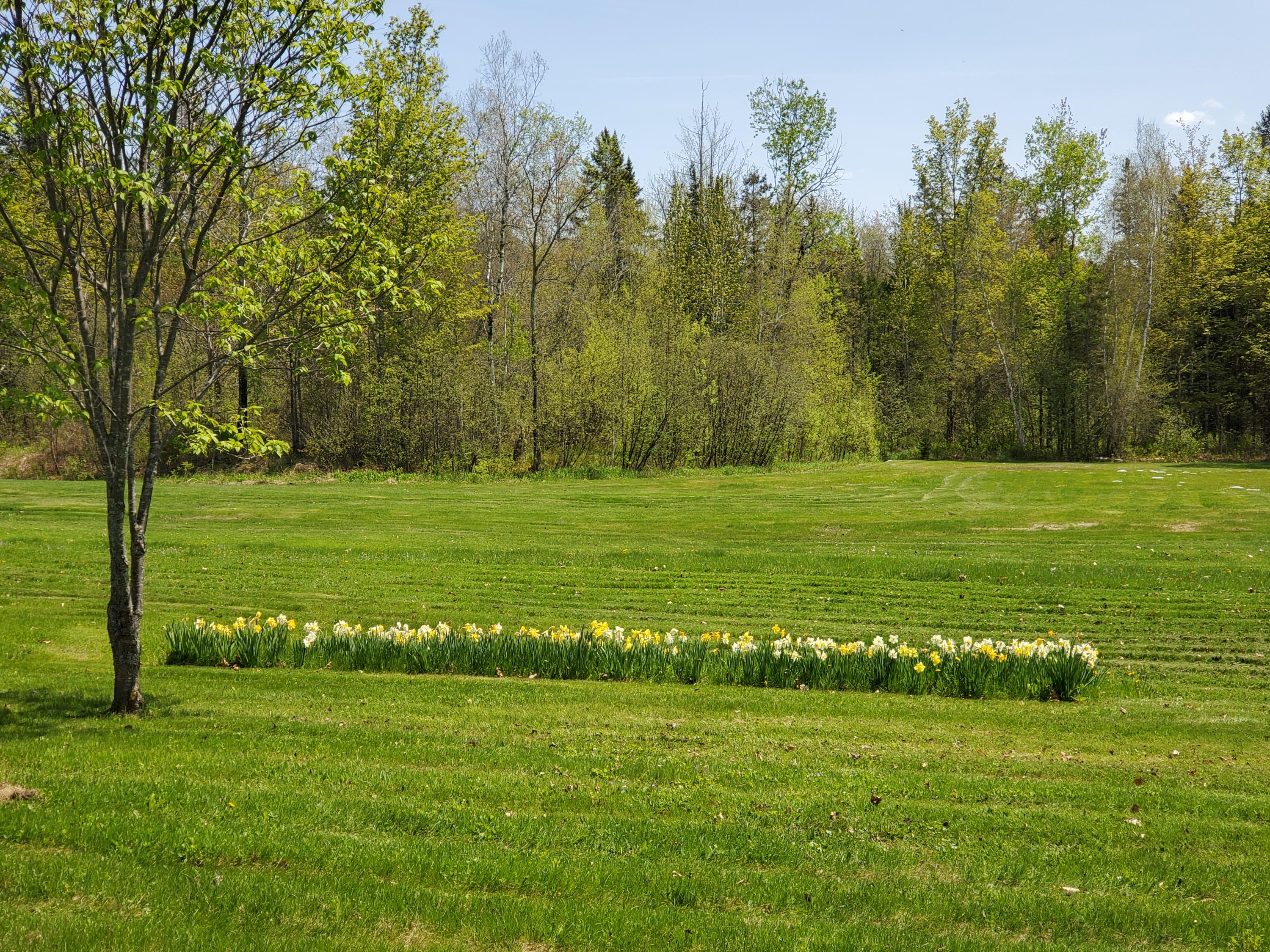 1839 East Ridge Road Athens, ME 04912 - Photo 13 of 49 20190525_135722