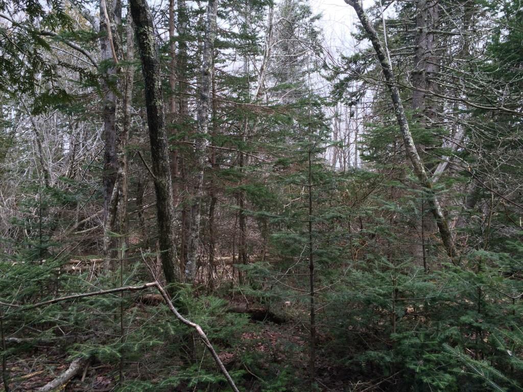 93 Cape Road Seal Cove, ME 04674 - Photo 2 of 3 Photo