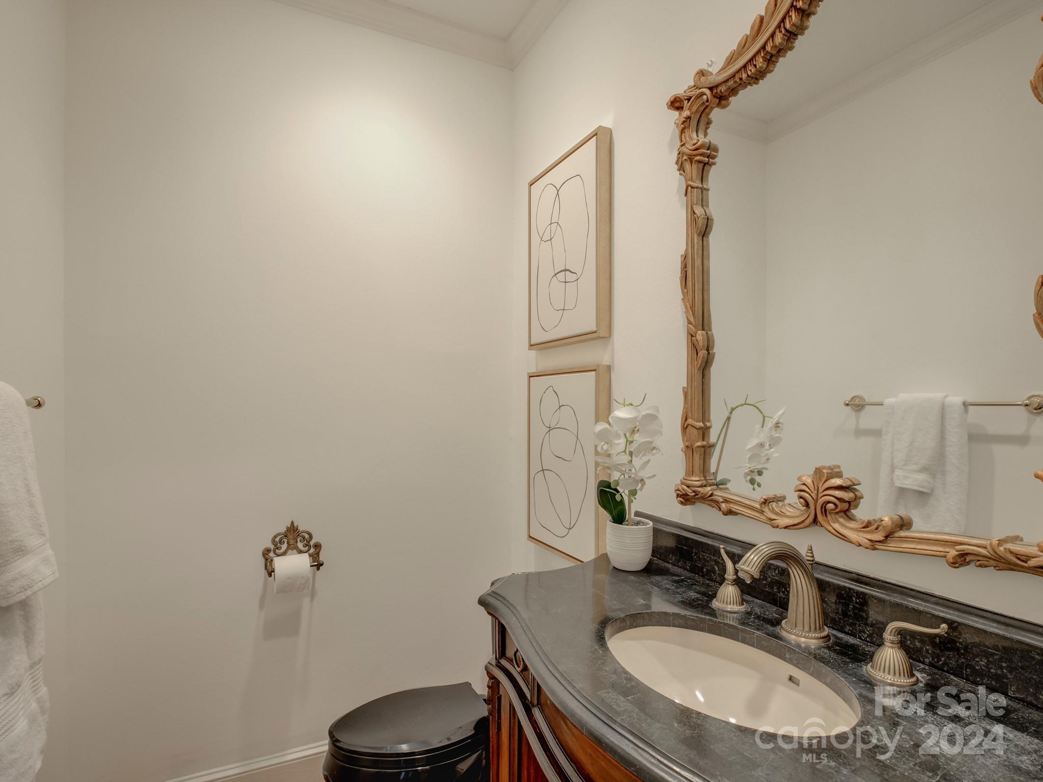 4440 Canoebrook Road Charlotte, NC 28210 - Photo 22 of 47 a bathroom with a sink toilet and a mirror