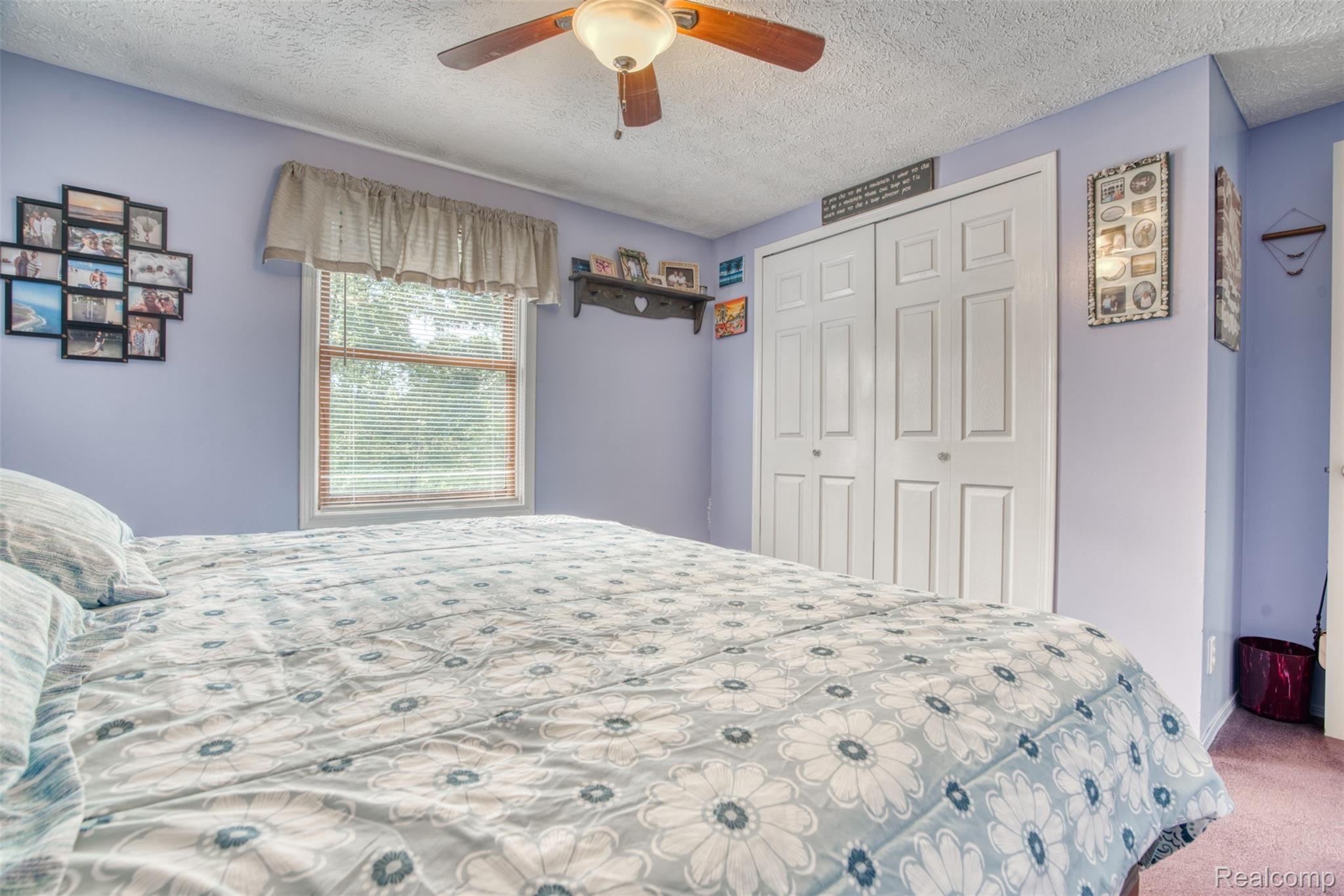 10292 Antcliff Road Fowlerville, MI 48836 - Photo 16 of 50 ANOTHER VIEW...