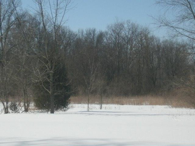 10052 McKean Road Willis, MI 48191 - Photo 24 of 24 Photo 24