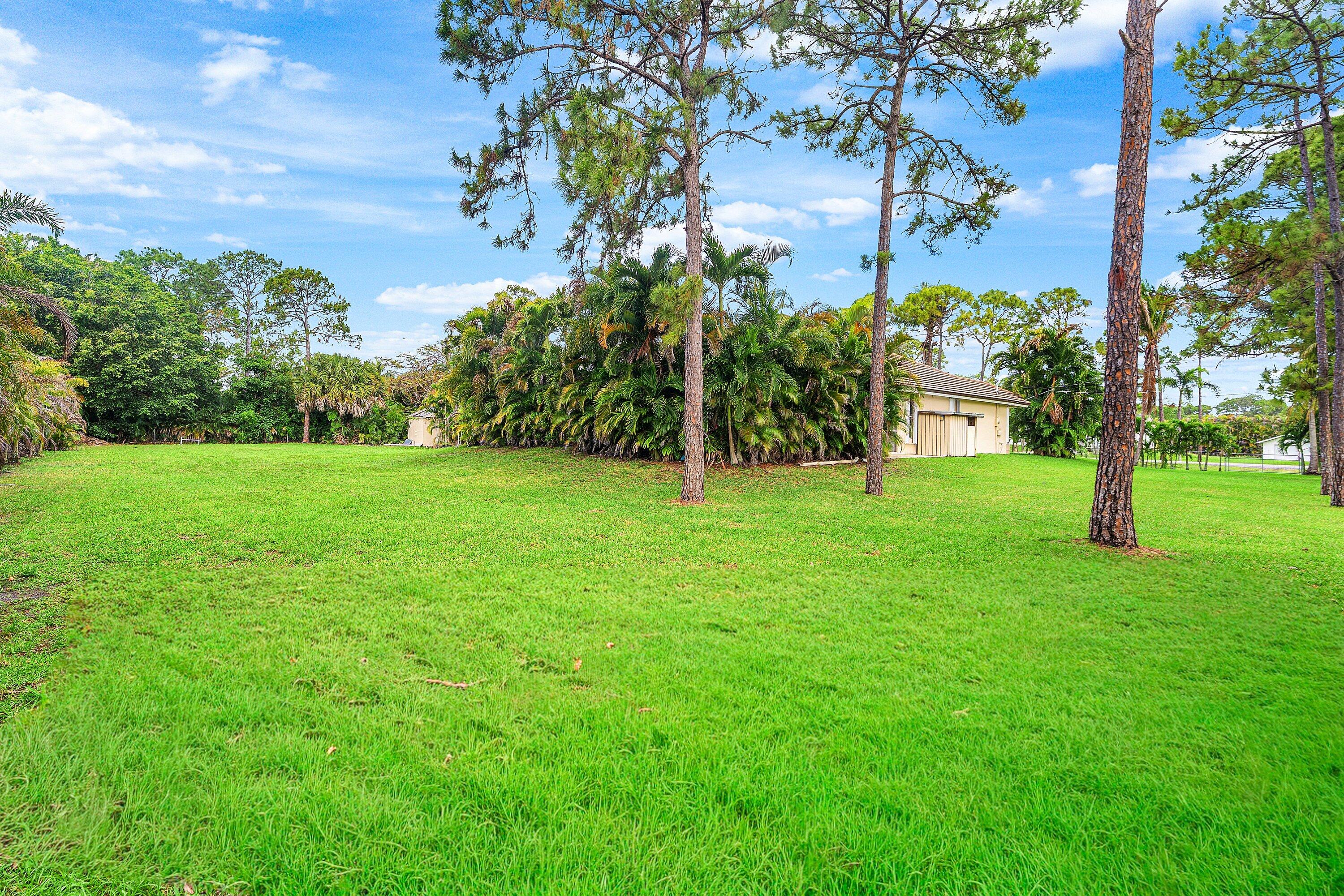 12328 85th Road North West Palm Beach, FL 33412 - Photo 41 of 51 Large backyard