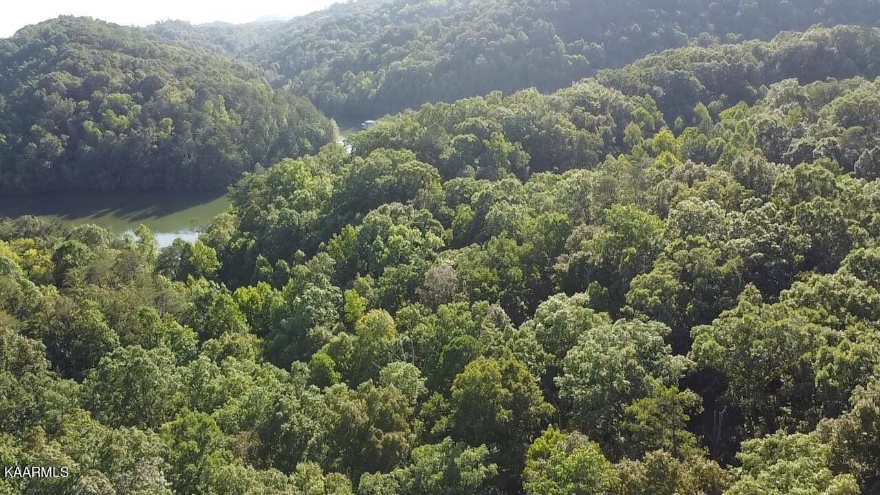19 Old Citico Road Vonore, TN 37885 - Photo 5 of 12 Gallery Image 5