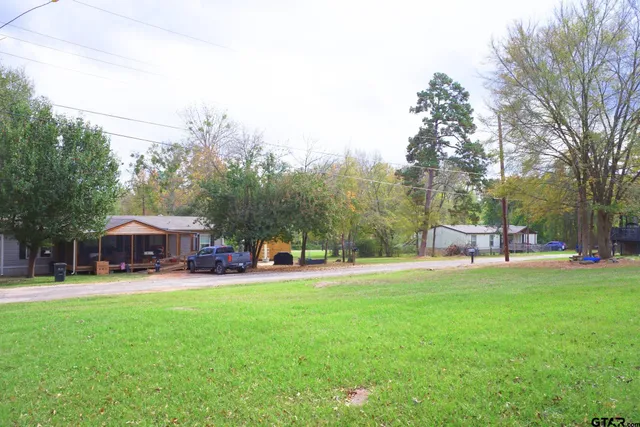 a view of a park with large trees