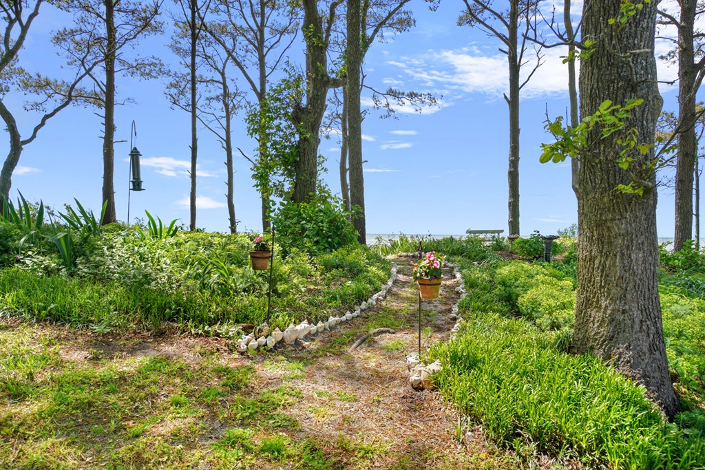 10888 Church Neck Road Machipongo, VA 23405 - Photo 28 of 83