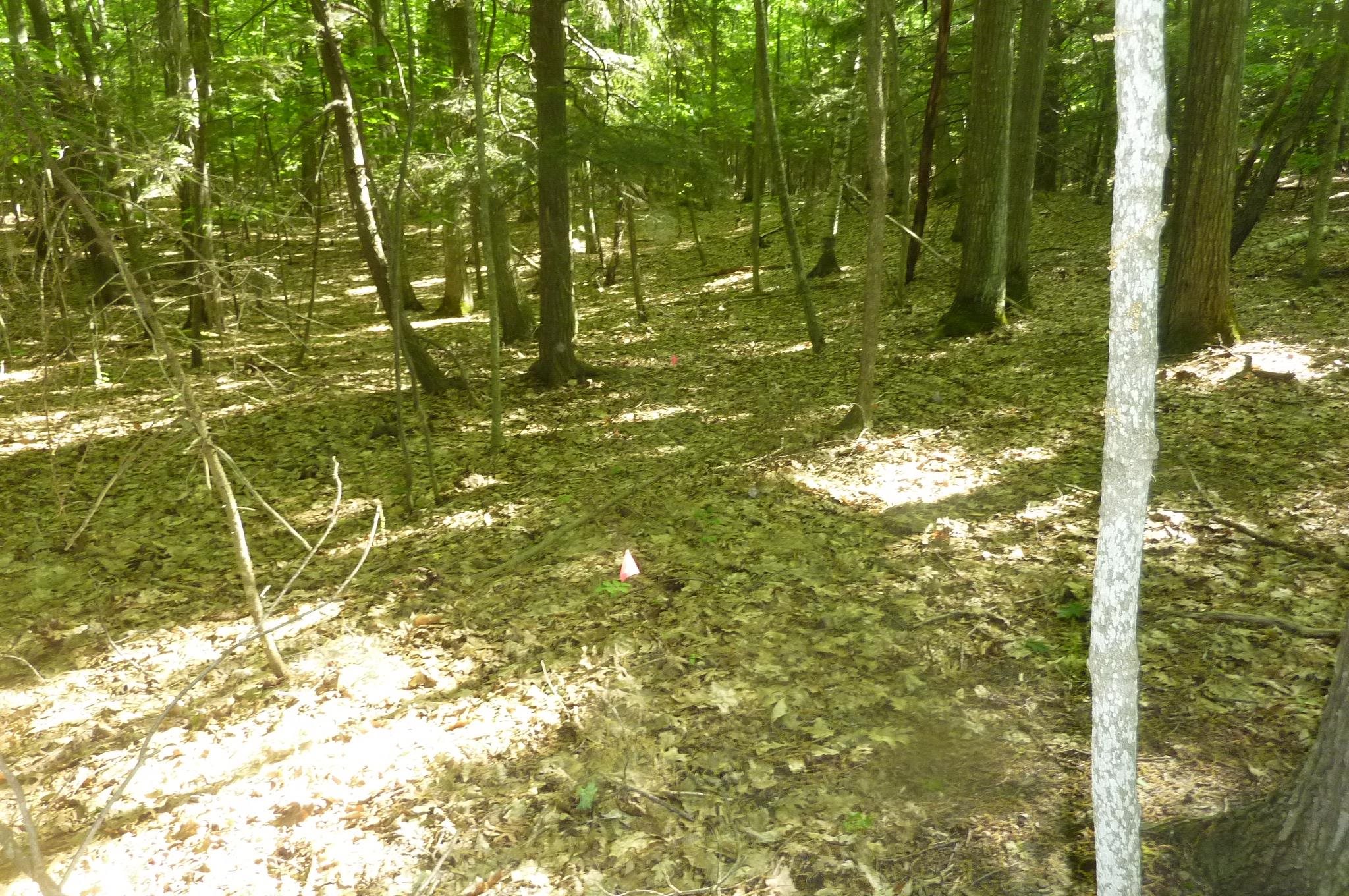 Oo Point Betsie Road Frankfort, MI 49635 - Photo 4 of 13
