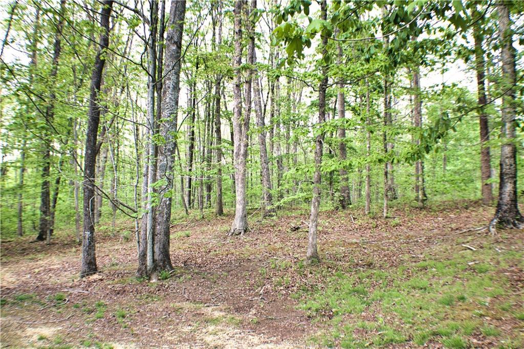 124 Stewart Lane Rising Fawn, GA 30738 - Photo 91 of 103