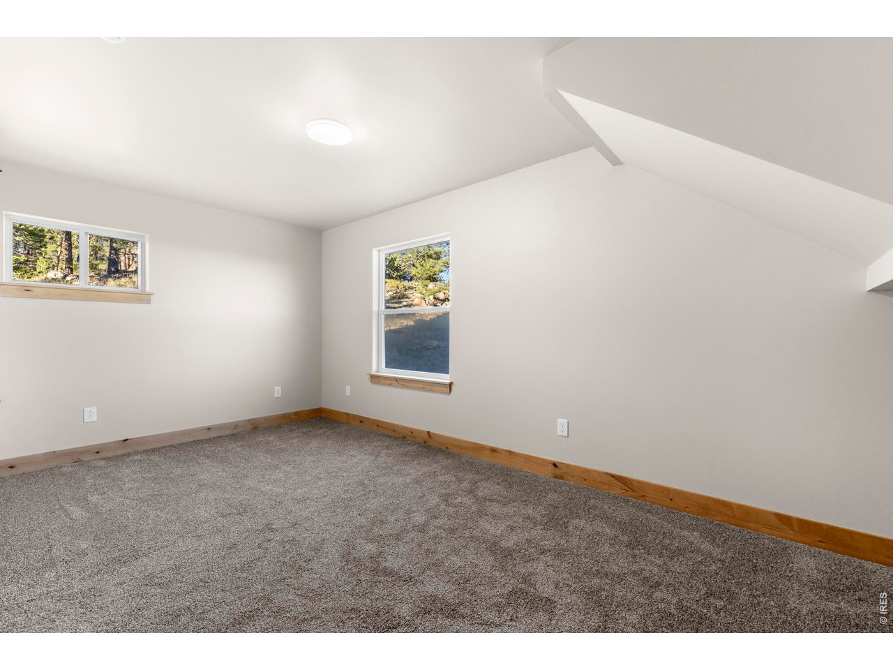 1074 Caddo Road Red Feather Lakes, CO 80545 - Photo 16 of 34 Main Level Primary Bedroom