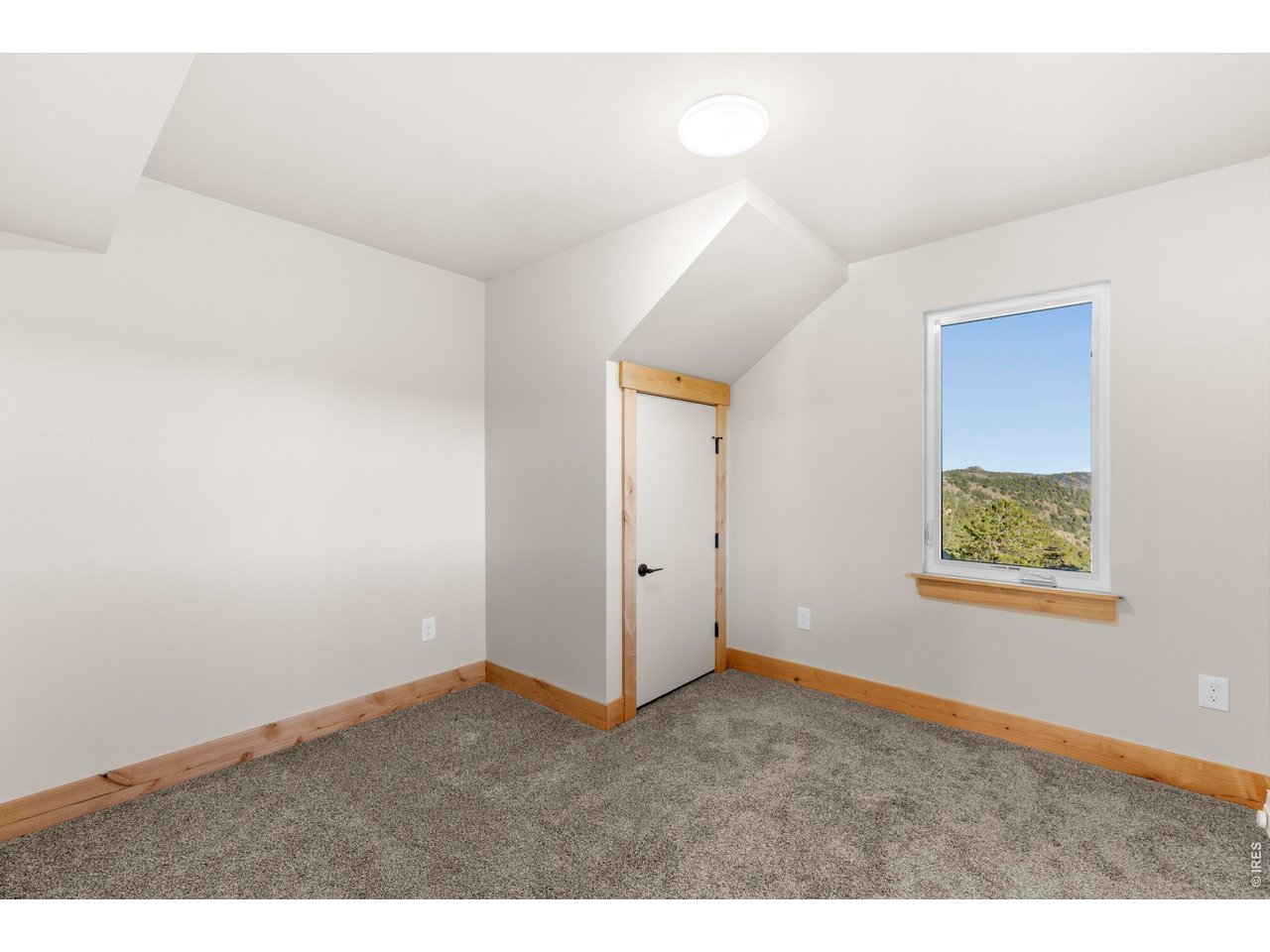 1074 Caddo Road Red Feather Lakes, CO 80545 - Photo 28 of 34 Basement Bedroom