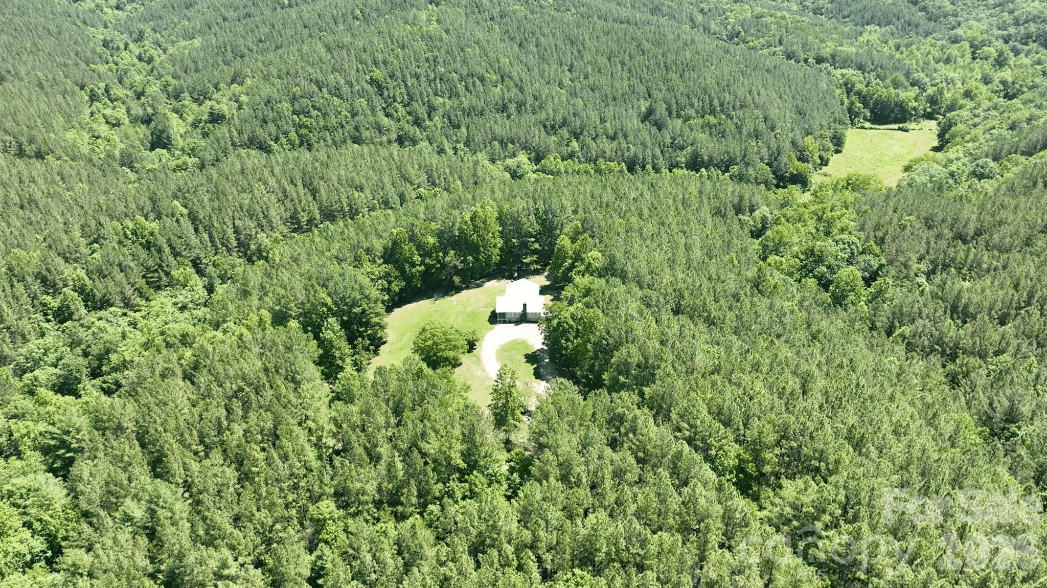 1194 Palmer Road Mill Spring, NC 28756 - Photo 9 of 33
