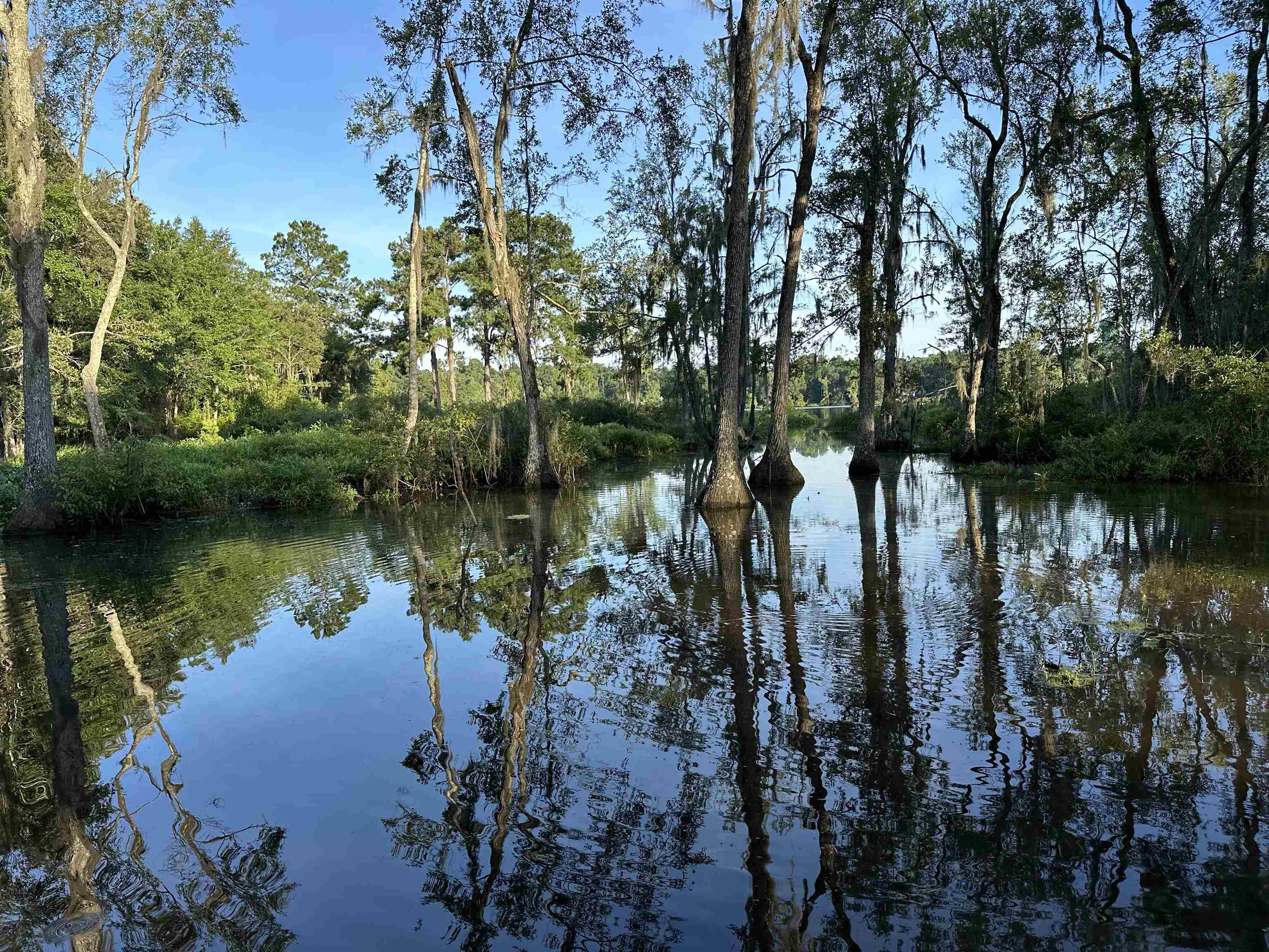 5000 Velda Dairy Road Tallahassee, FL 32309 - Photo 5 of 17