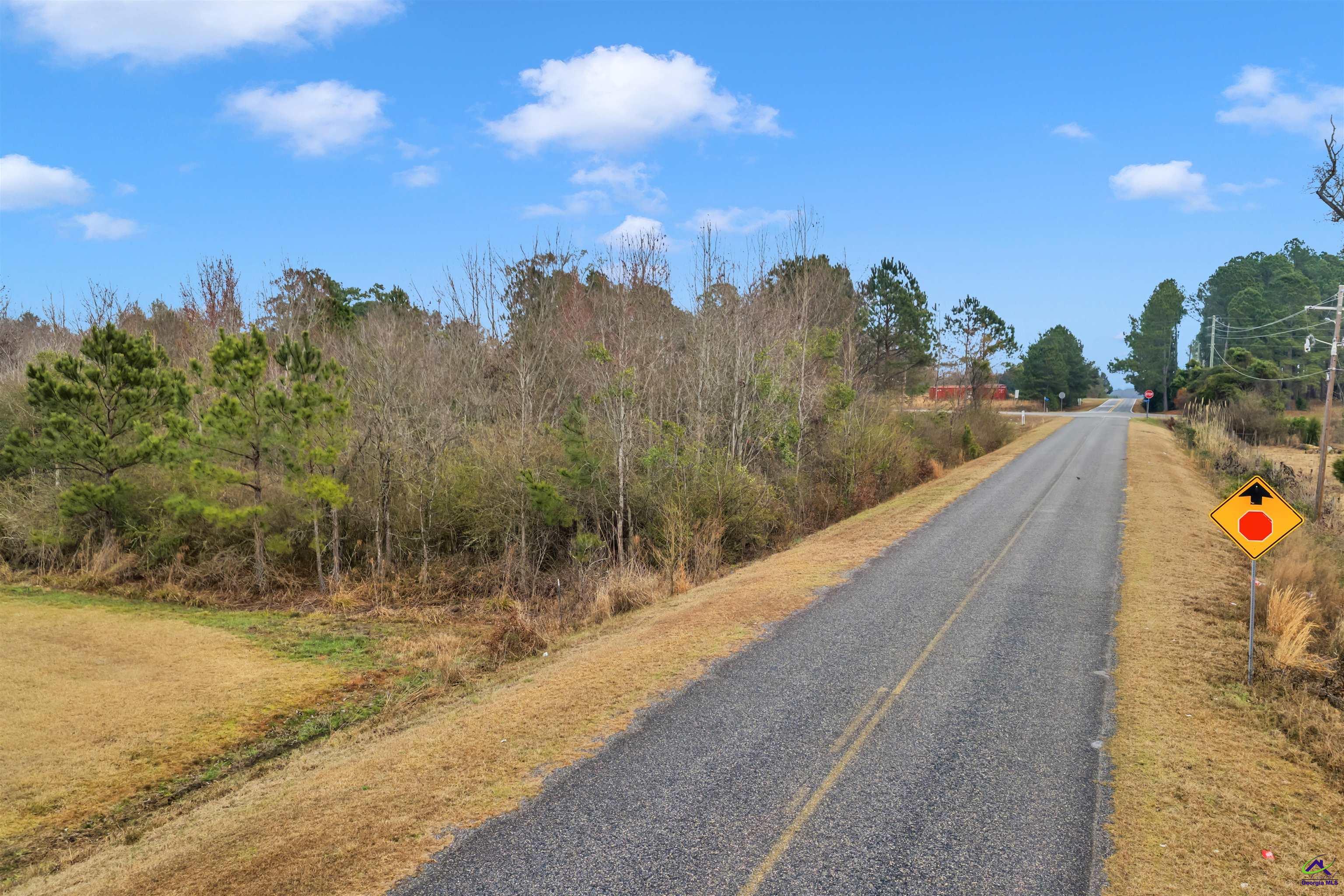 0 Mt Calvery Church Road Pineview, GA 31071 - Photo 8 of 10