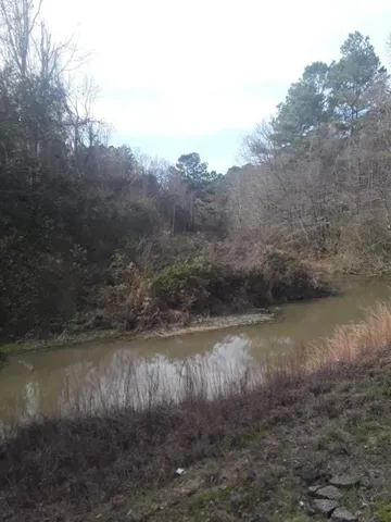 $120,000 | 51 Hwy Fluker La, Kentwood, LA 70444