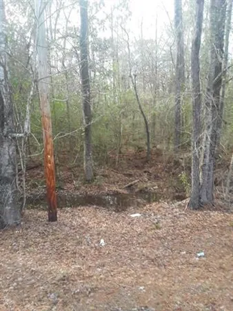 $120,000 | 51 Hwy Fluker La, Kentwood, LA 70444