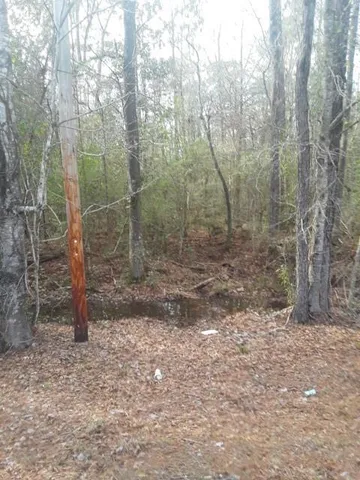 $120,000 | 51 Hwy Fluker La, Kentwood, LA 70444