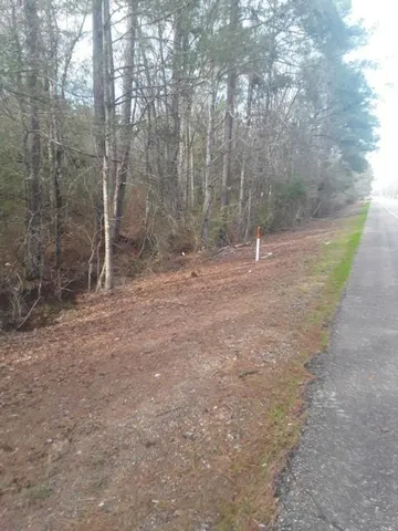 $120,000 | 51 Hwy Fluker La, Kentwood, LA 70444