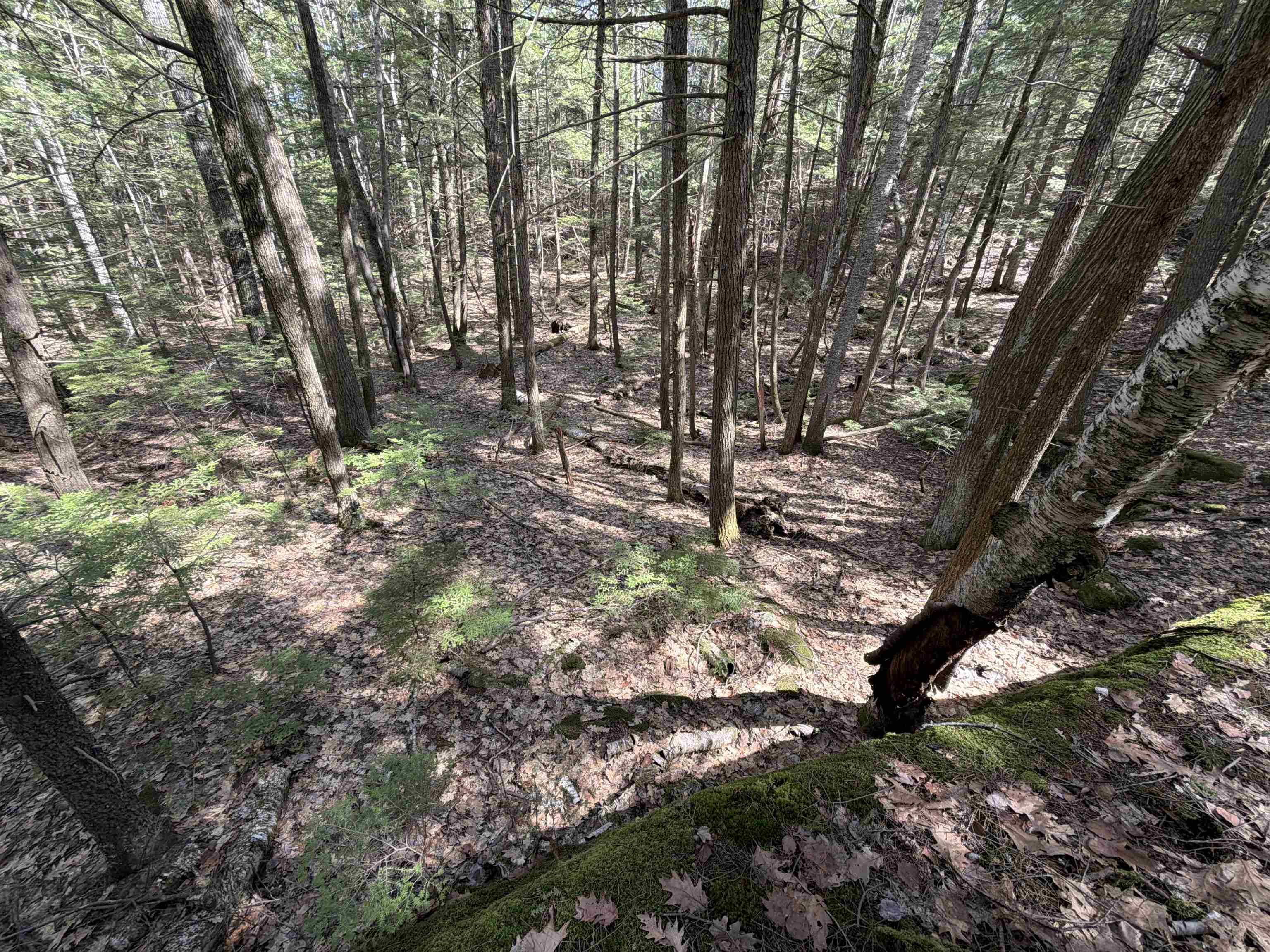 R29-l9 Roxbury Road, Unit LOT 9 Meredith, NH 03253 - Photo 32 of 36