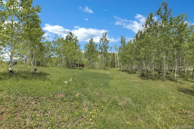 $600,000 | 1121 Gcr 2416, Kremmling, CO 80459