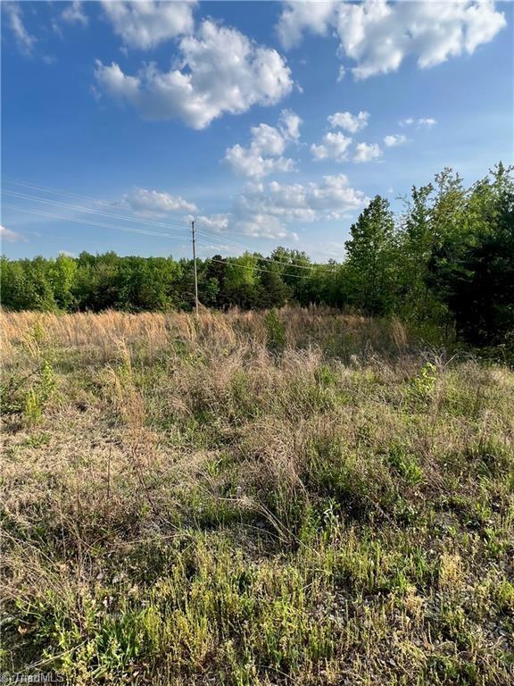 0 Quail Meadows Road Blanch, NC 27212 - Photo 2 of 3 Gallery Image 2