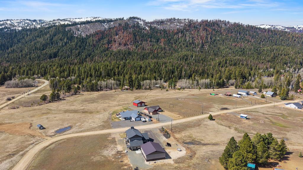 1884 Little Pine Road Donnelly, ID 83615 - Photo 5 of 45 Mountain All Around