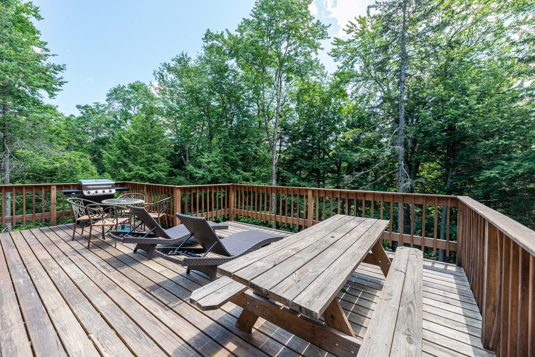 613 Forest Mountain Road Peru, VT 05152 - Photo 15 of 17