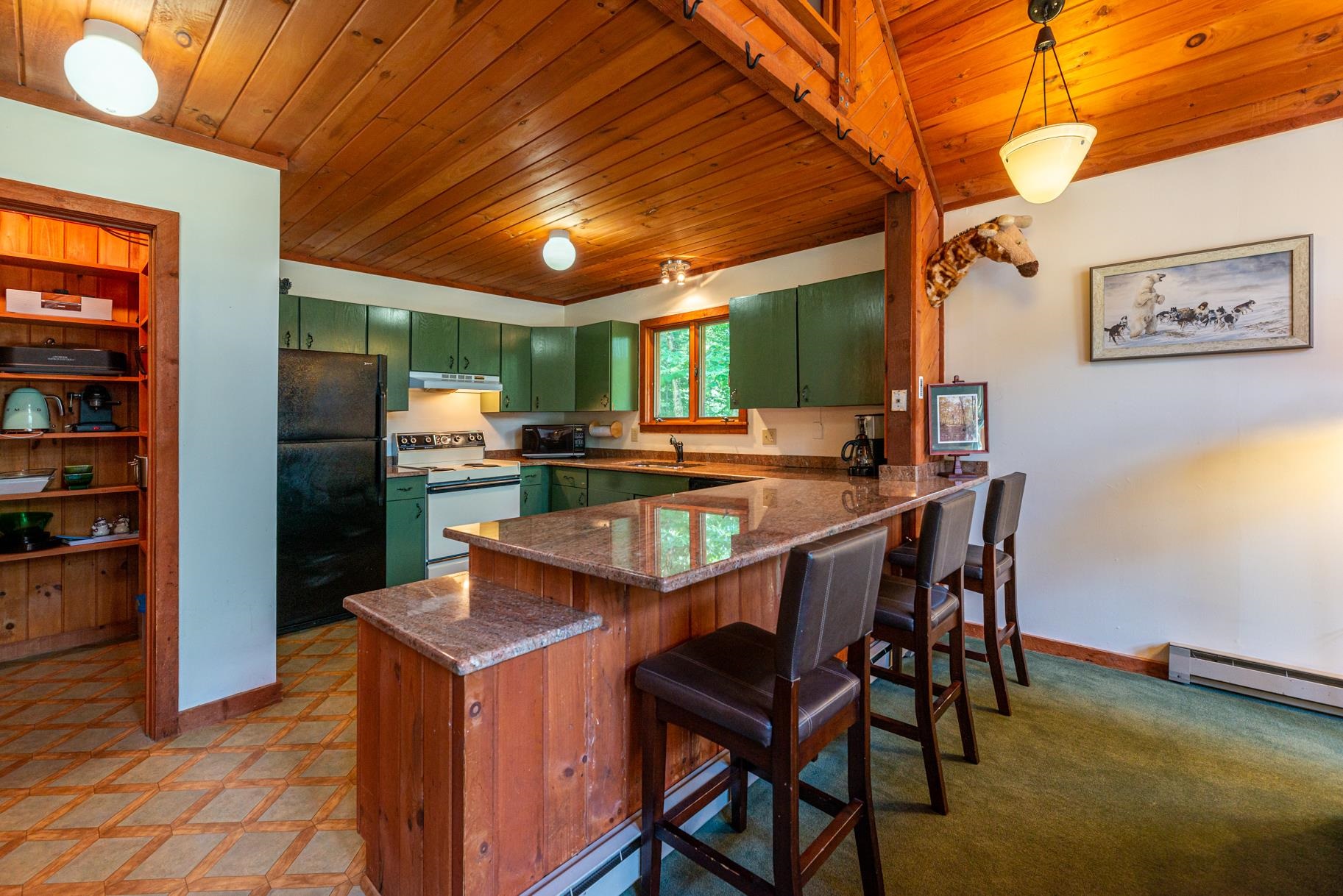 613 Forest Mountain Road Peru, VT 05152 - Photo 2 of 17