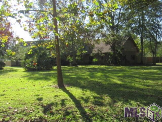 9157 Pertuis Road St. Amant, LA 70774 - Photo 1 of 13 Gallery Image 1