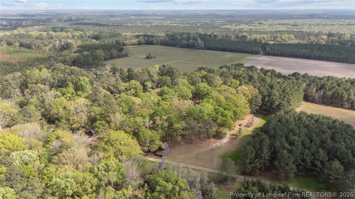 2218 Fairbluff Road Orrum, NC 28369 - Photo 44 of 50