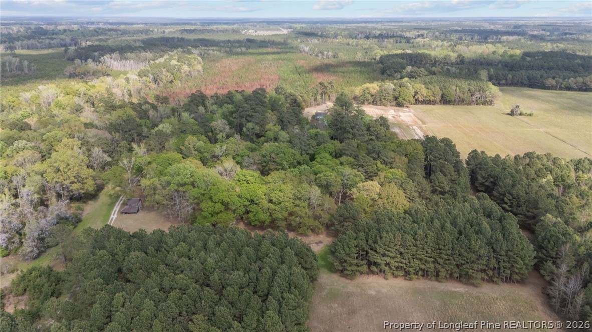 2218 Fairbluff Road Orrum, NC 28369 - Photo 46 of 50