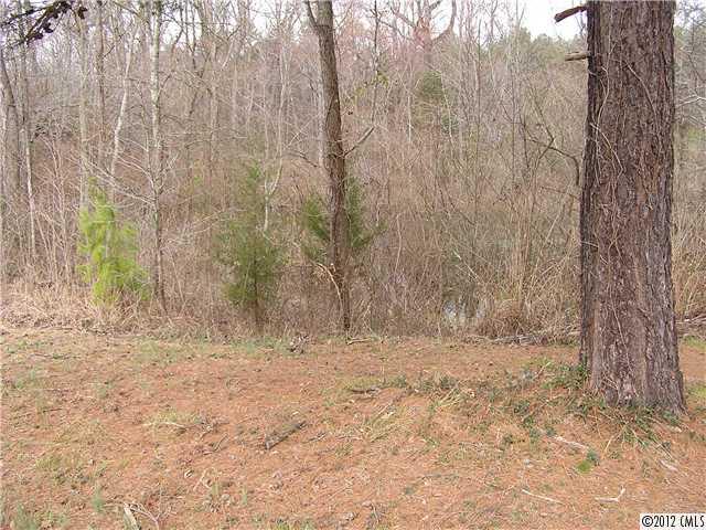 294 Russell Road Polkton, NC 28135 - Photo 15 of 16 a view of shower with trees in the background