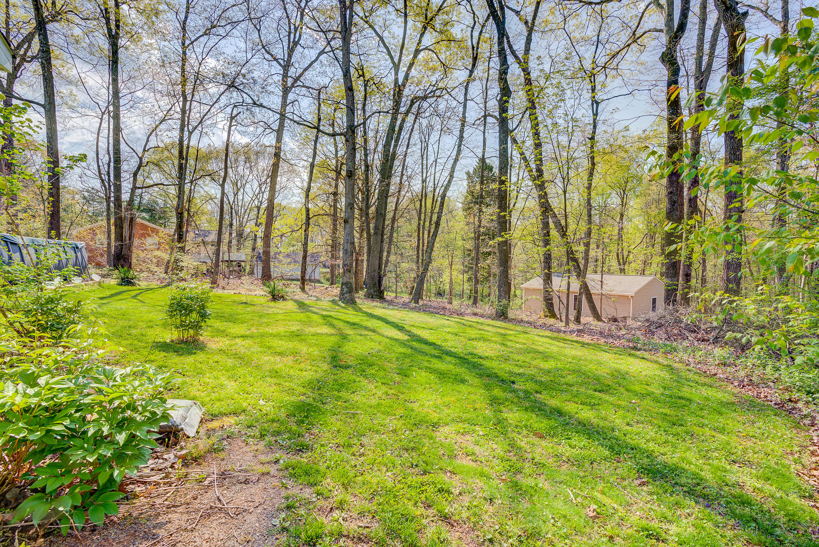 12267 Hardy Road Hardy, VA 24101 - Photo 24 of 24 a backyard of apartments with large trees