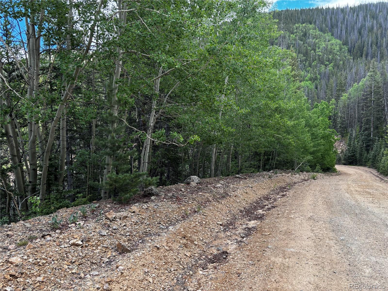 0 Forbes Road San Luis, CO 81152 - Photo 4 of 9