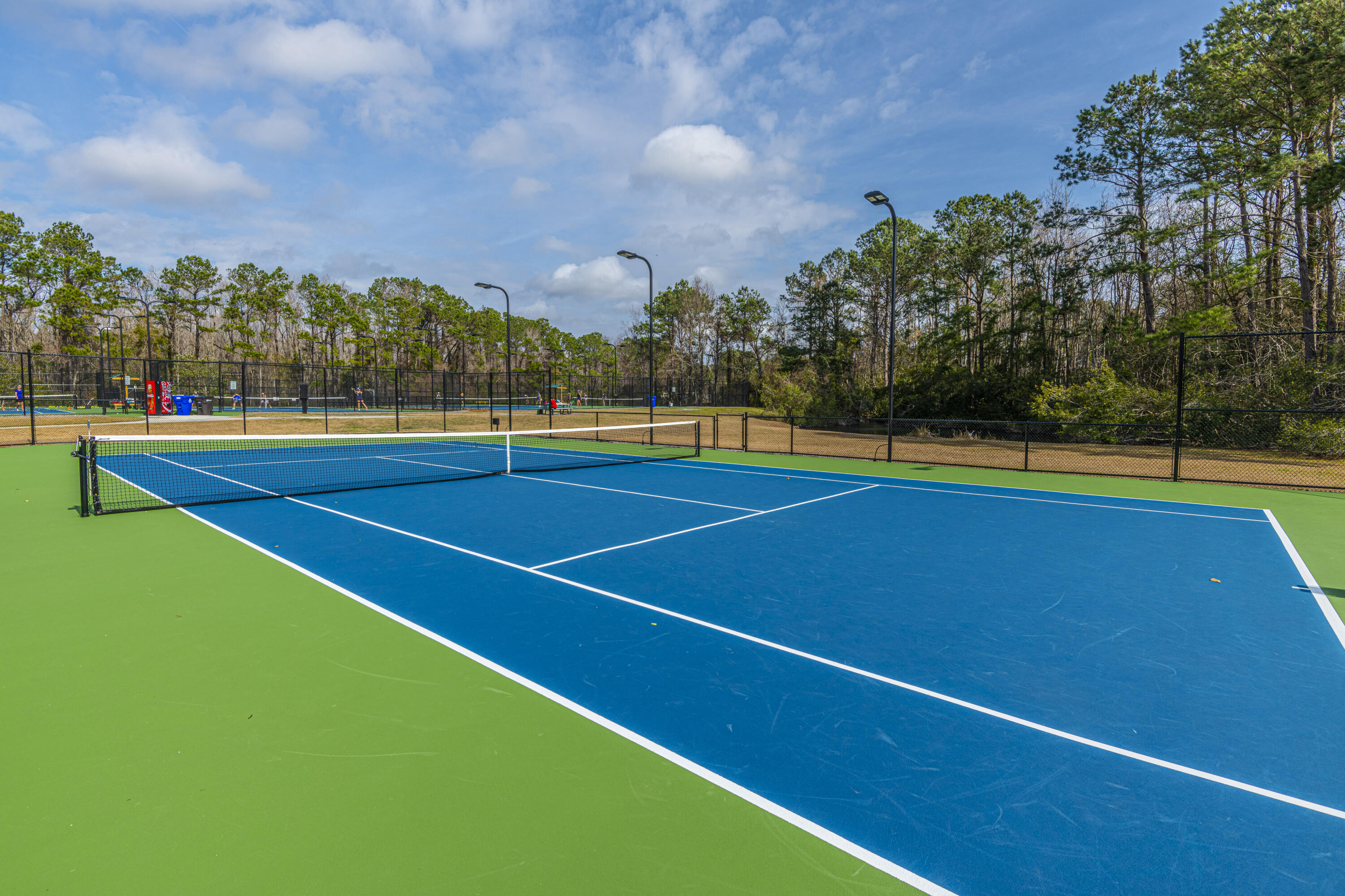1295 Chrismill Lane Mount Pleasant, SC 29466 - Photo 58 of 72 Tennis Courts