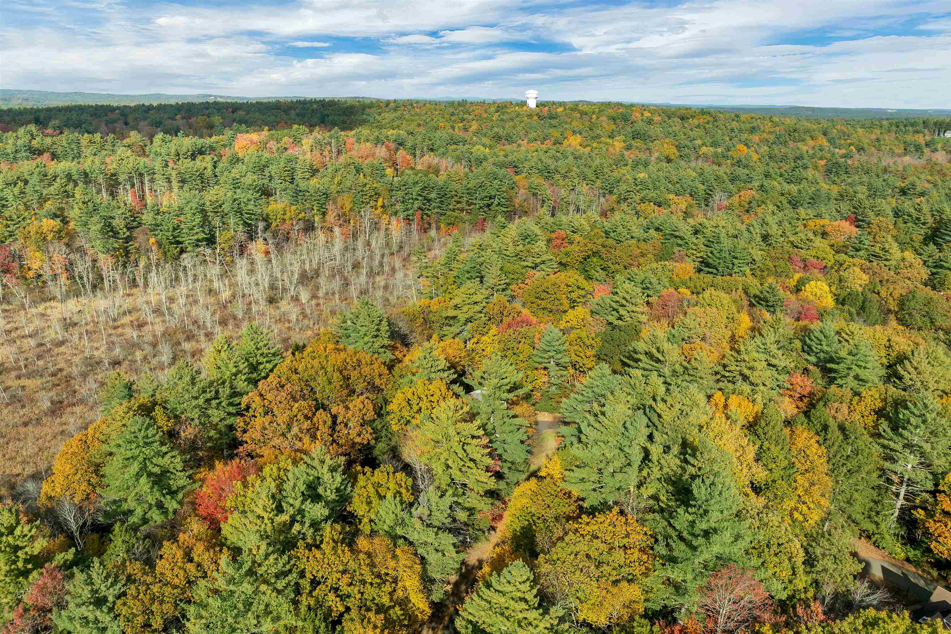 10 Colman Path Merrimack, NH 03054 - Photo 45 of 52