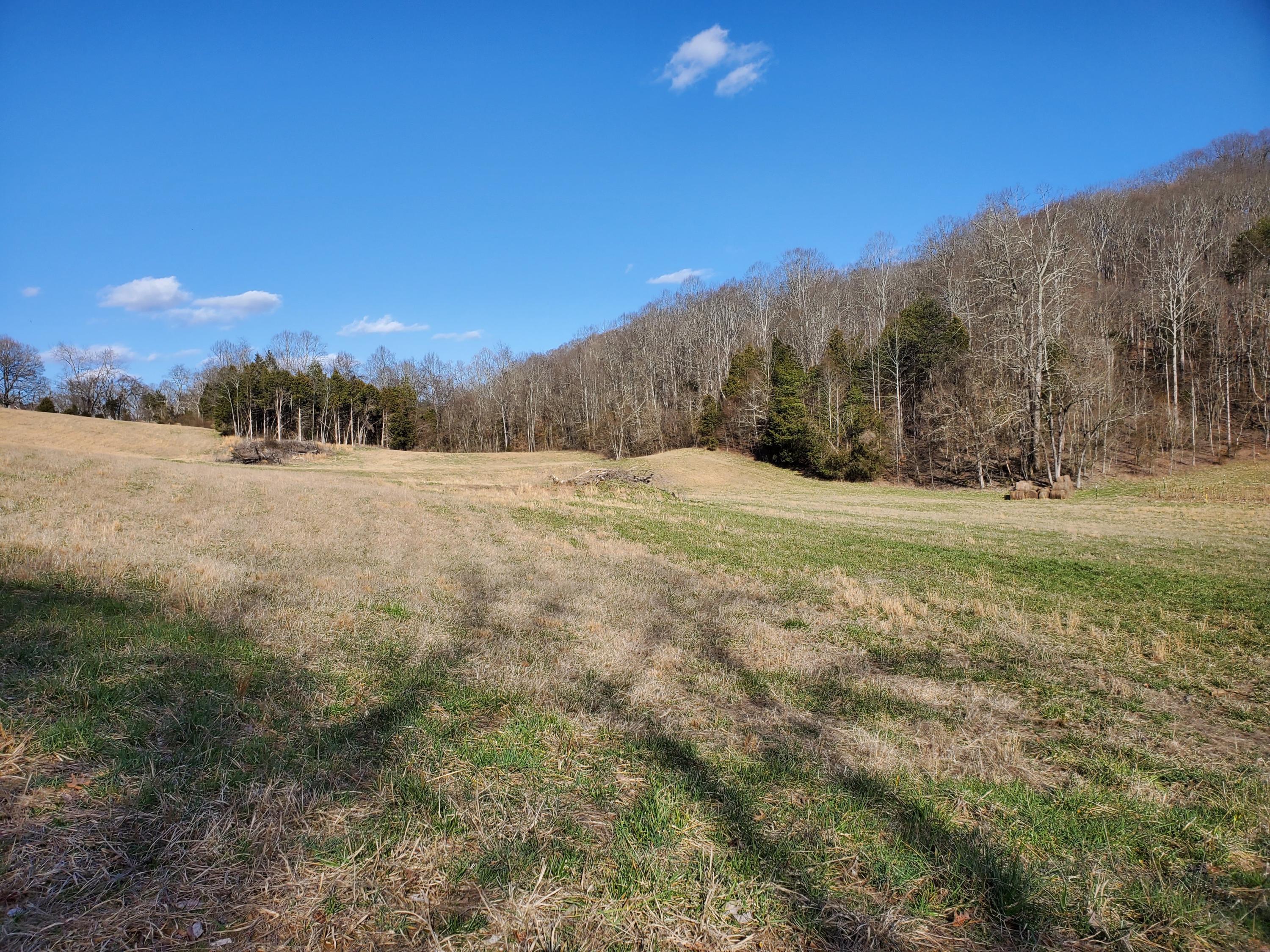 560 Wahoo Valley Road Kingsport, TN 37663 - Photo 54 of 64 55