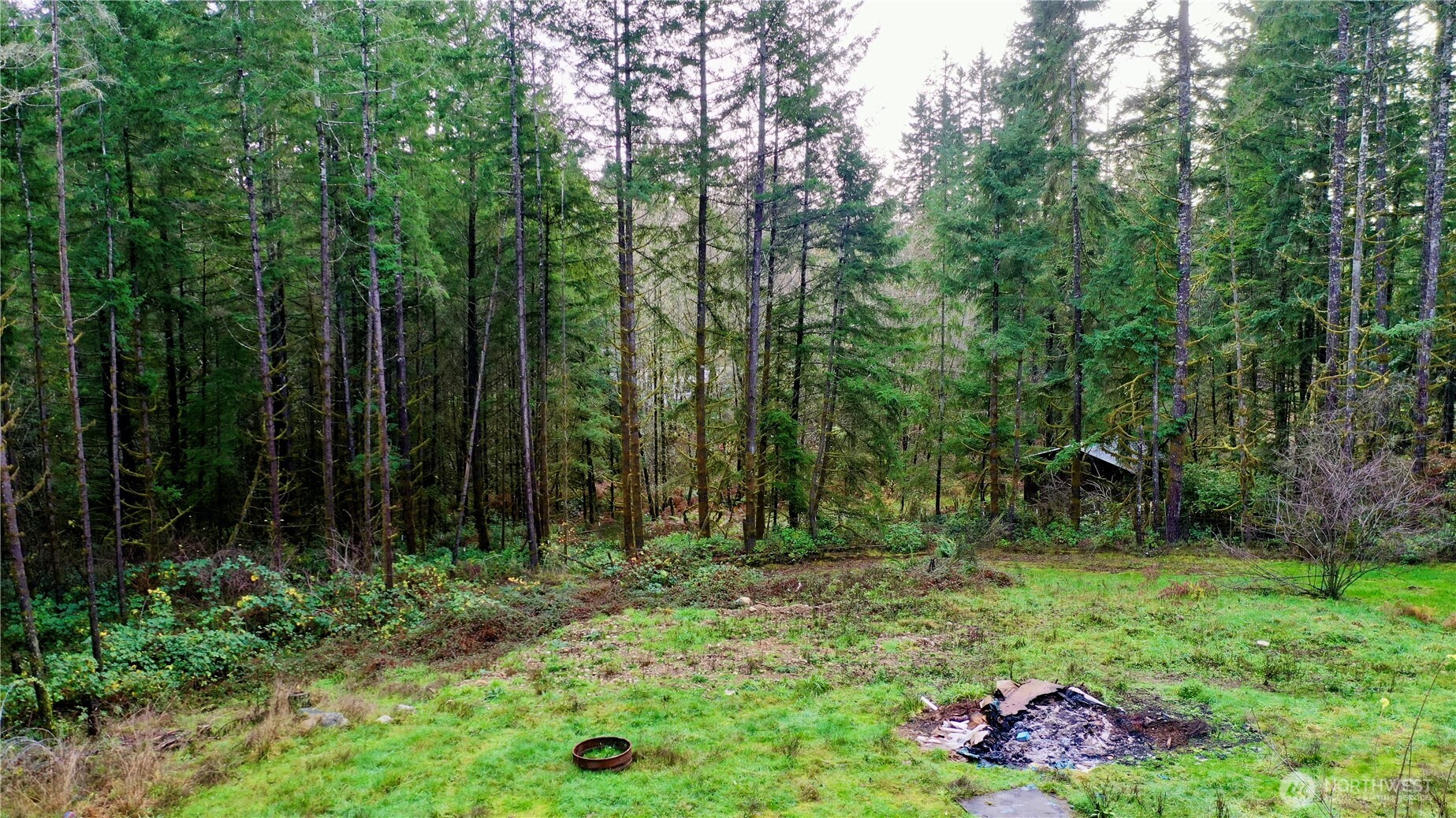 10185 May Ranch Lane Southwest Port Orchard, WA 98367 - Photo 12 of 14 a view of backyard with green space
