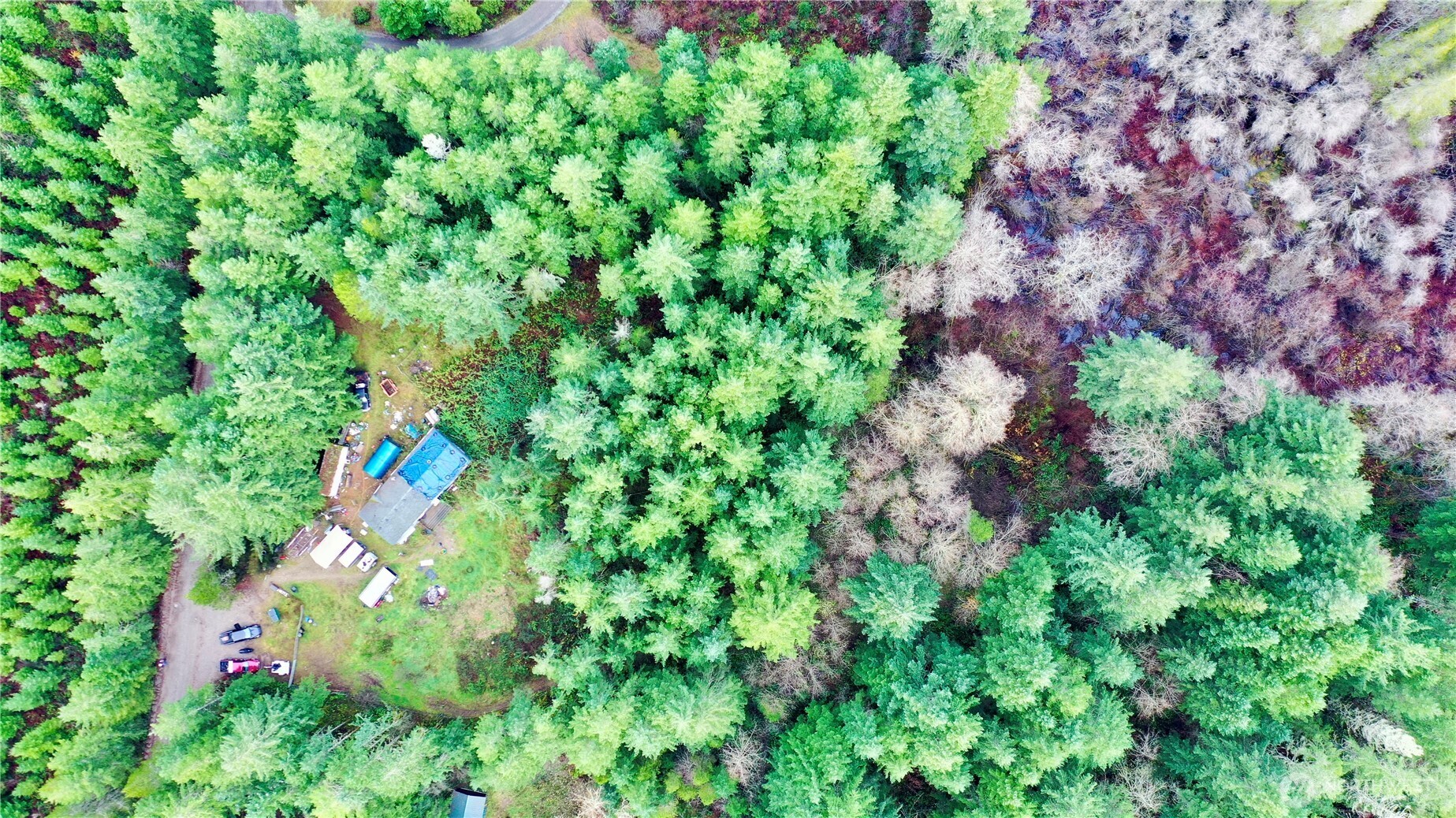 10185 May Ranch Lane Southwest Port Orchard, WA 98367 - Photo 2 of 14 a backyard of a house with lots of green space