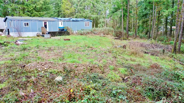 a house view with a backyard space