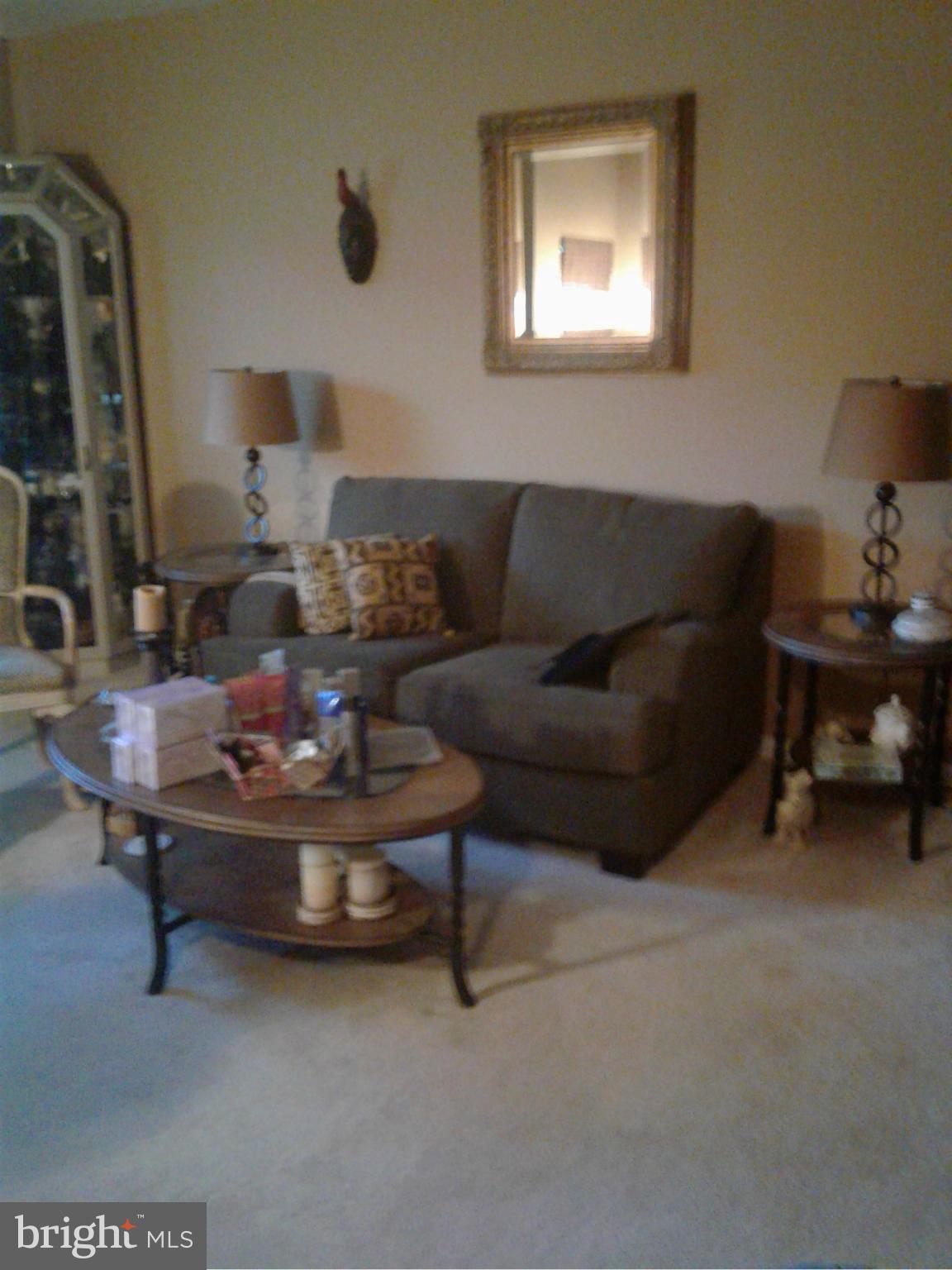 3449 Castle Way, Unit 521 Silver Spring, MD 20904 - Photo 2 of 7 living room