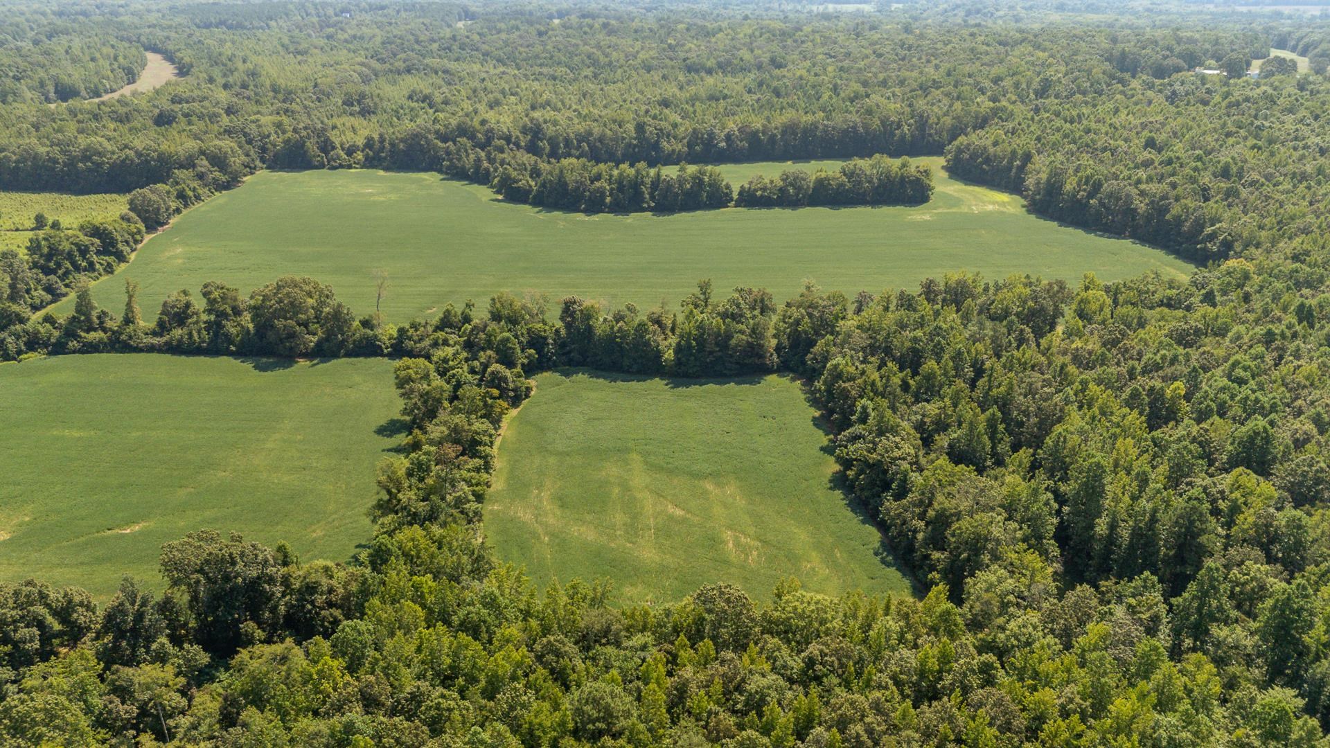 a view of a lake with a yard