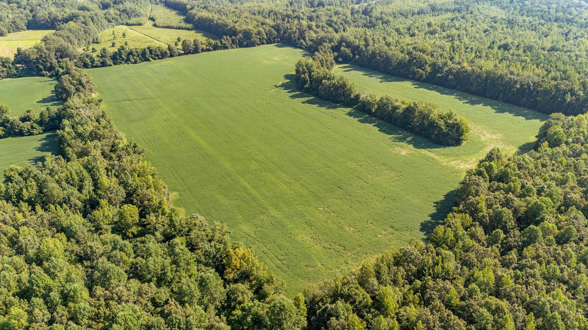 2395 Pocahontas Road Pocahontas, TN 38061 - Photo 24 of 38 a view of ocean